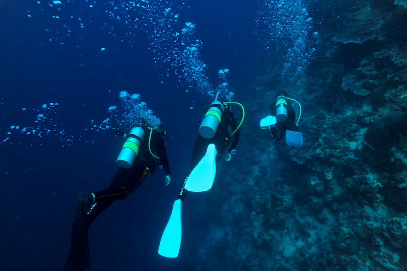 Photo by Marine Photo Library