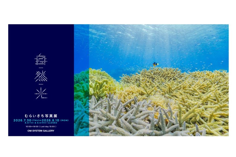 むらいさちさん写真展「自然光 Underwater w/ natural light.」開催