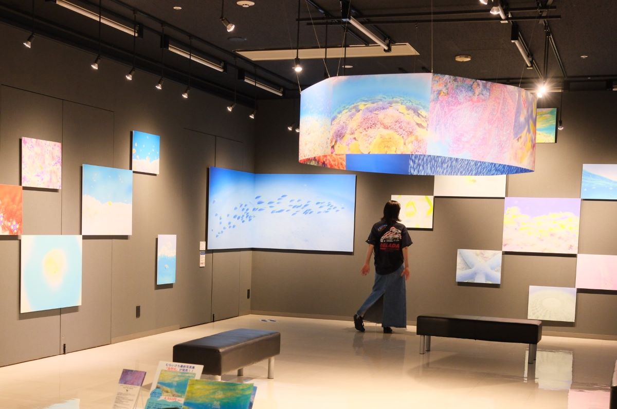 むらいさちさん写真展「自然光 Underwater w/ natural light.」開催中！