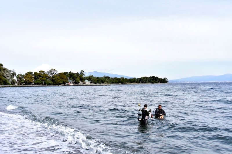 関東ダイバーが通う伊豆半島。西伊豆の大瀬崎は多くのダイバーを育てた海
Photo by Marine Photo Library