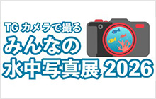 TGカメラで撮るみんなの水中写真展2026 全作品発表！