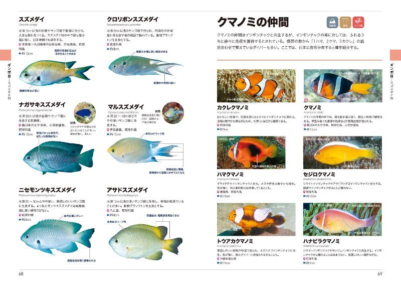 水中で出会うリアルな色合いに近いので、お目当ての魚が見つけやすい