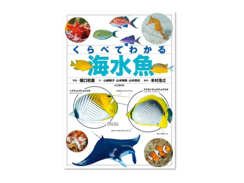 『くらべてわかる海水魚』好評発売中！