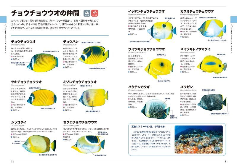 紛らわしい似た種どうしの見分け方を、わかりやすく解説している
