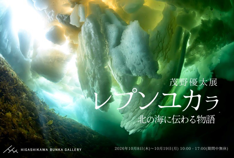 水中写真家・茂野優太さん写真展「レプンユカラ 北の海に伝わる物語」開催中！