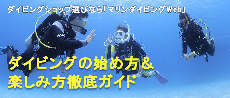 ダイビングの始め方&楽しみ方徹底ガイド
